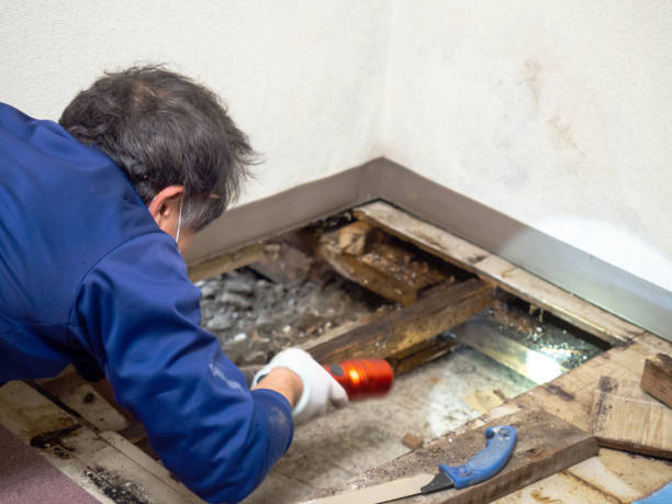 Best Industrial Mold Remediation in Fetters Hot Springs Agua Liente, CA