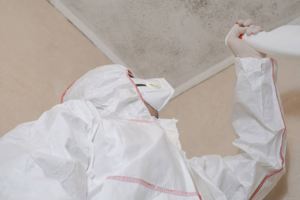Best DIY Mold Remediation Support Services in Fetters Hot Springs Agua Liente, CA