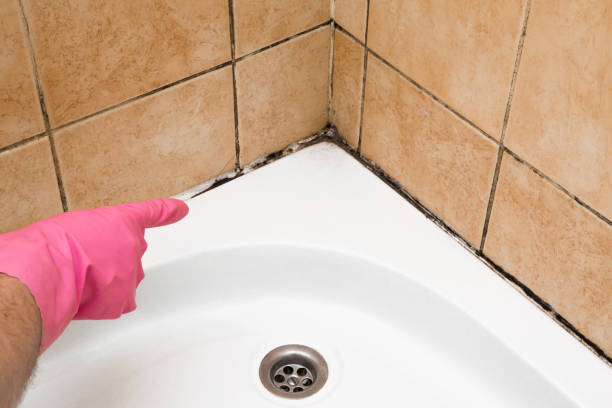 Best Residential Mold Remediation in Fetters Hot Springs Agua Liente, CA